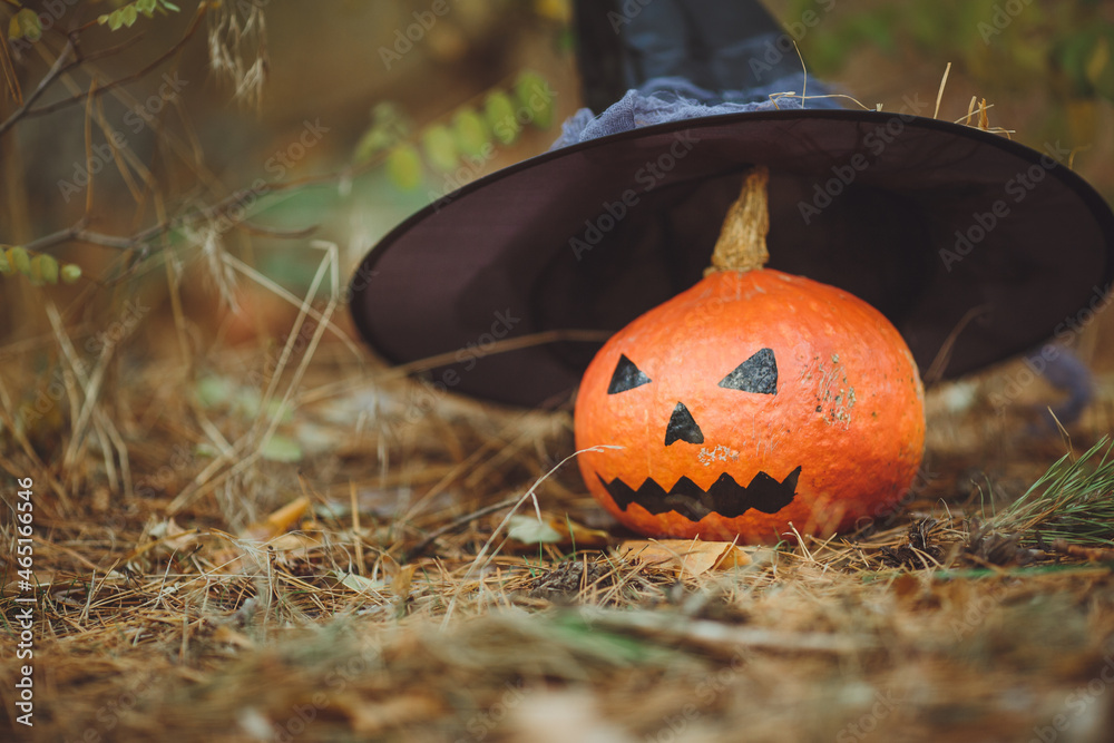 Halloween layout. Halloween concept. Halloween decorations on forest background. Witch hat, pumpkin