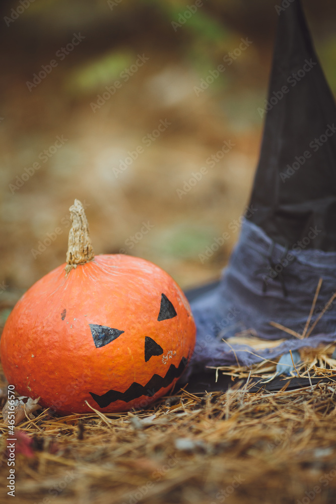 Halloween layout. Halloween concept. Halloween decorations on forest background. Witch hat, pumpkin