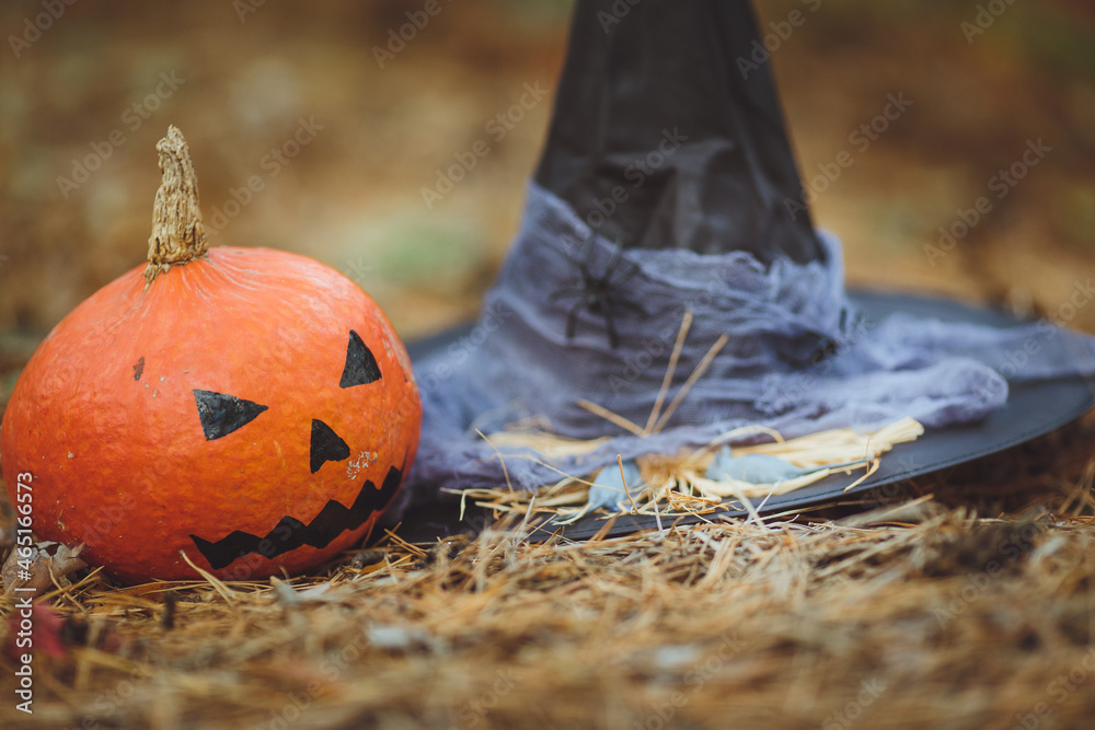 Halloween layout. Halloween concept. Halloween decorations on forest background. Witch hat, pumpkin