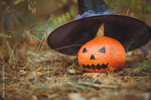 Obraz na płótnie Halloween layout. Halloween concept. Halloween decorations on forest background. Witch hat, pumpkin
w salonie