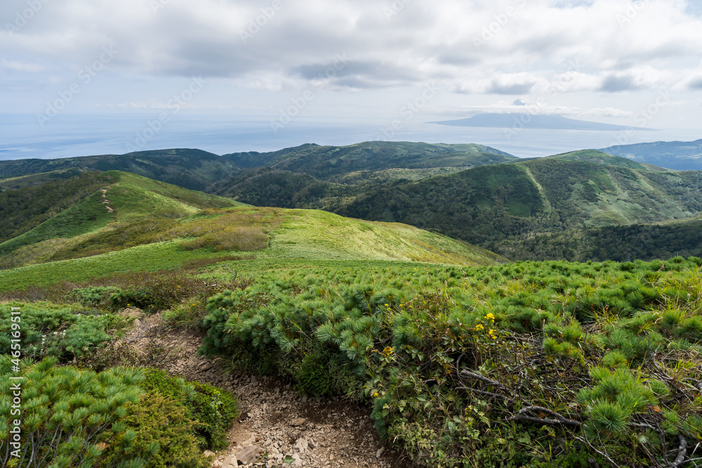 Obraz premium 礼文岳 登山 (日本 - 北海道 - 礼文島) 