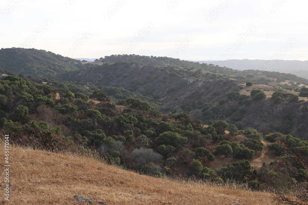 Toro Park Hillside Toro Park Hillside