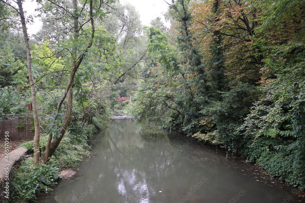 river in the forest, Malmesbury, Wiltshire