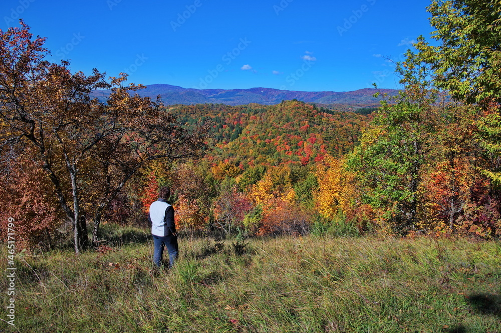 Senior woman standing on the hill with beautiful autumn forest in background Senior woman standing on the hill with beautiful autumn forest in background