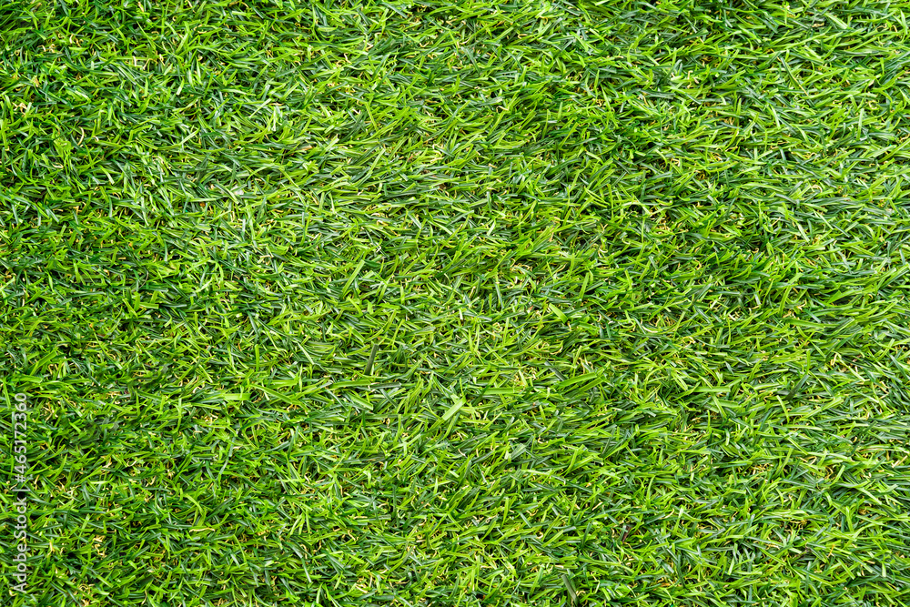 Fototapeta premium Green grass texture for background. Green lawn pattern and texture background.