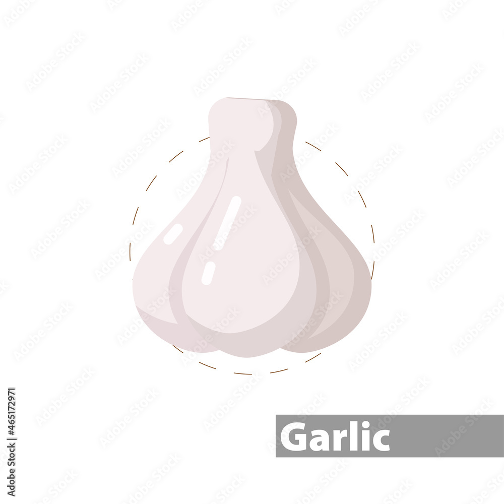Garlic isolated illustration on white background. Garlic clipart. Garlic flat icon. Garlic isolated illustration on white background. Garlic clipart. Garlic flat icon.
