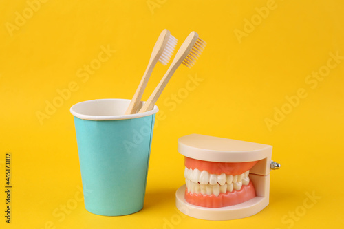 Model of human jaw with white teeth and toothbrushes in cup on yellow background. Dental care concept