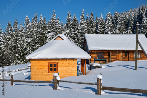 Small wooden house covered with fresh fallen snow surrounded with tall pine trees in winter mountains.