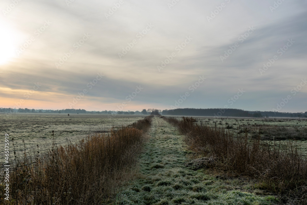 path in the field