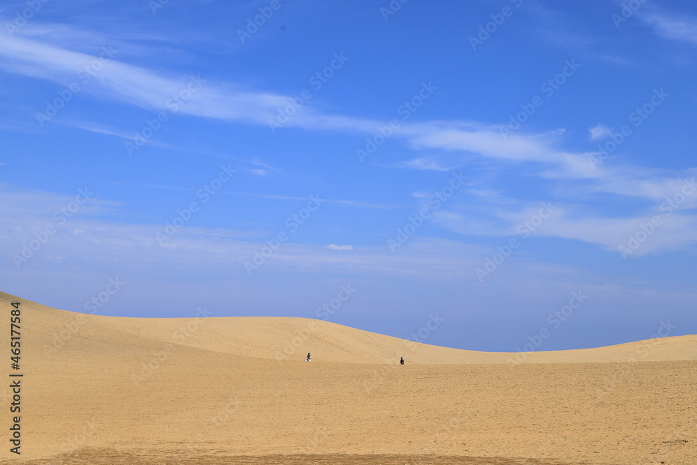 Naklejka premium 鳥取砂丘