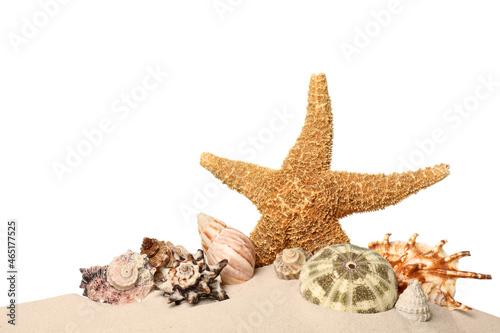 Beautiful starfish and sea shells in sand on white background