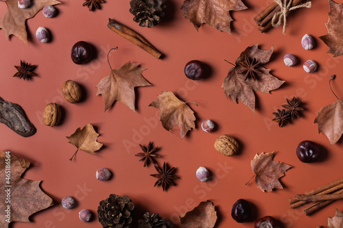 Autumn fall thanksgiving day composition with decorative dried leaves