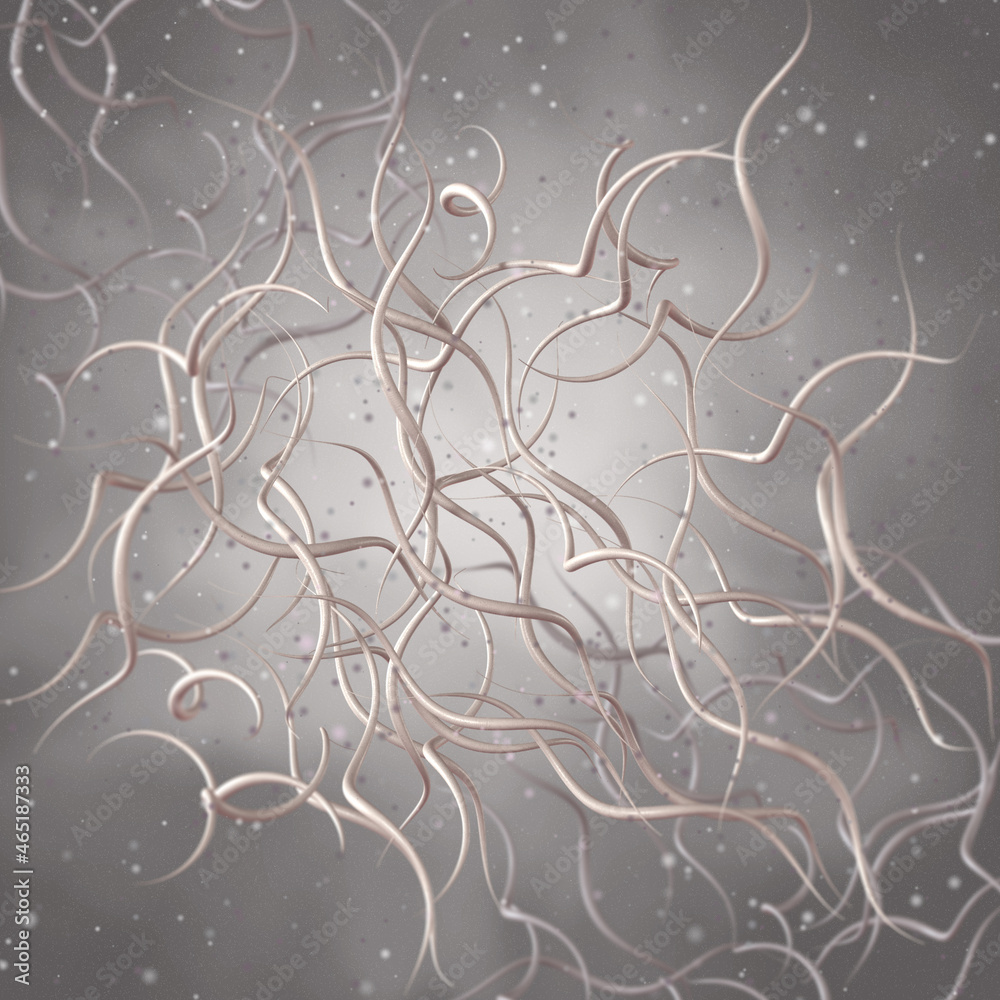 Medical background, bacteria spirilla spirally twisted and arcuate curved rods, class Beta