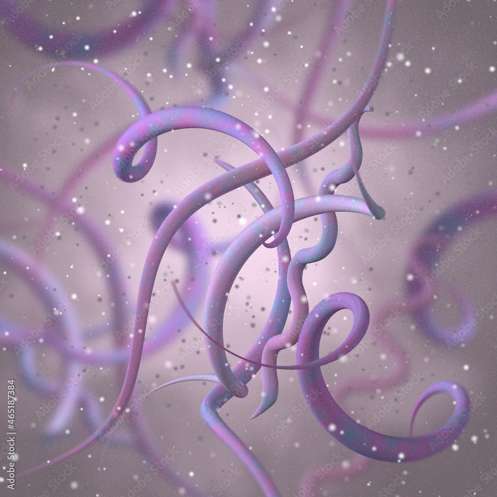 Medical background, bacteria spirilla spirally twisted and arcuate curved rods, class Beta