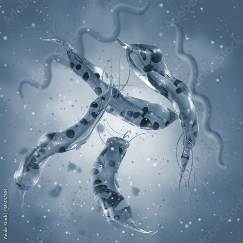 Medical background, bacteria spirilla with flagella, spirally twisted and arcuate curved rods, class of beta proteobacteria, aerobes or microaerophiles, 3D rendering photo