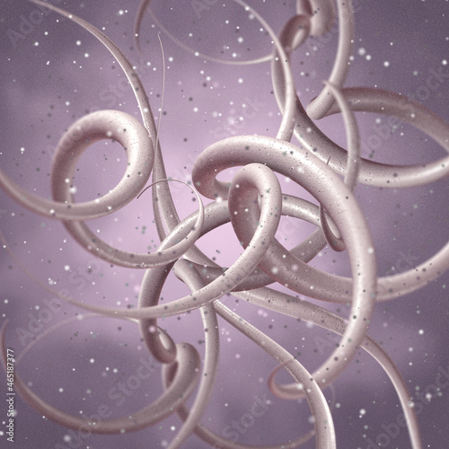 Medical background, bacteria spirilla spirally twisted and arcuate curved rods, class Beta-proteobacteria, aerobes or microaerophiles, 3D rendering photo