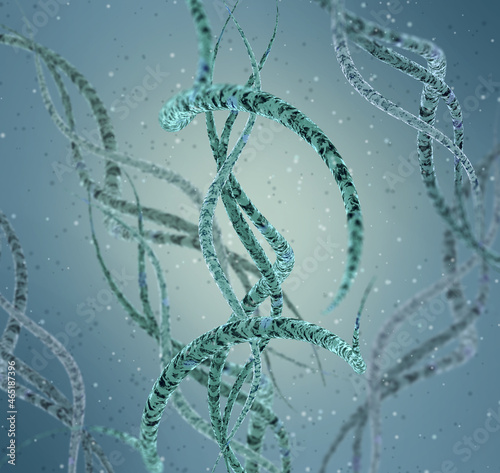 Medical background, bacteria spirilla spirally twisted and arcuate curved rods, class Beta-proteobacteria, aerobes or microaerophiles, 3D rendering photo