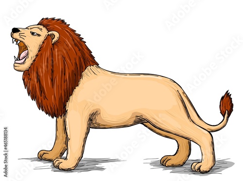 Illustration of lion cartoon