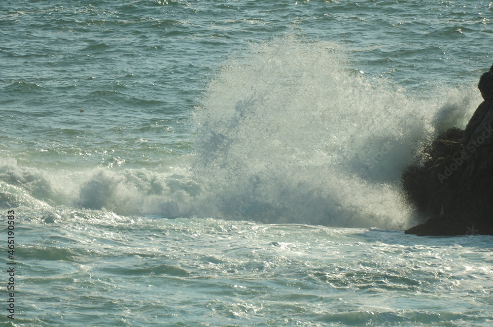 Obraz premium wave