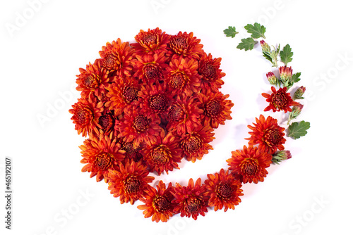 Floral arrangement for greeting cards. Festive background, floral card, top view. Autumn flower arrangement