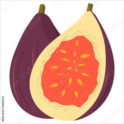Cartoon illustration with colorful fig fruit. Farm market product. Vector hand drawn graphic. Single isolated art.