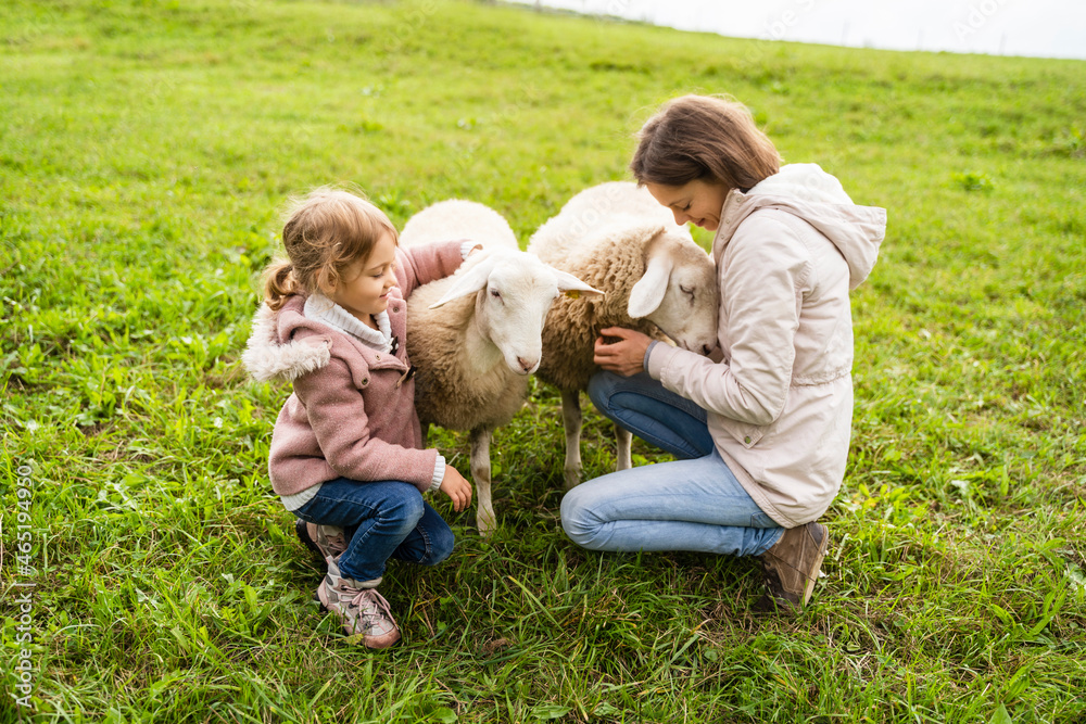 Smiling mother and daughter stroking sheep in farm Smiling mother and daughter stroking sheep in farm