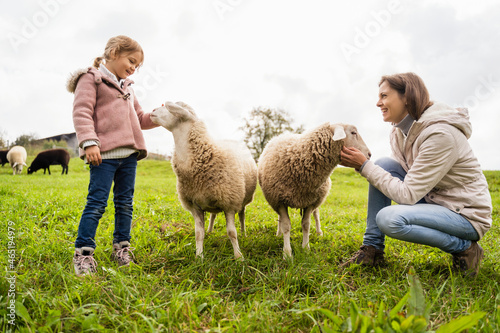 Smiling mother and daughter with sheep at field photo