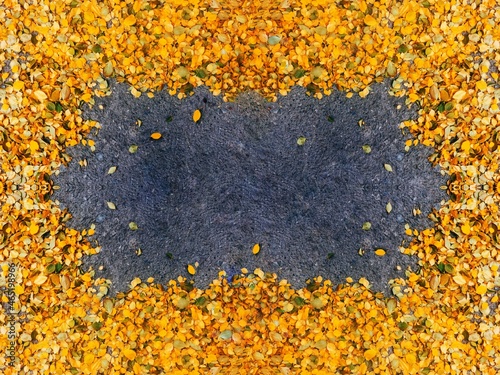 Colorful yellow and orange autumn leaves border frame background.