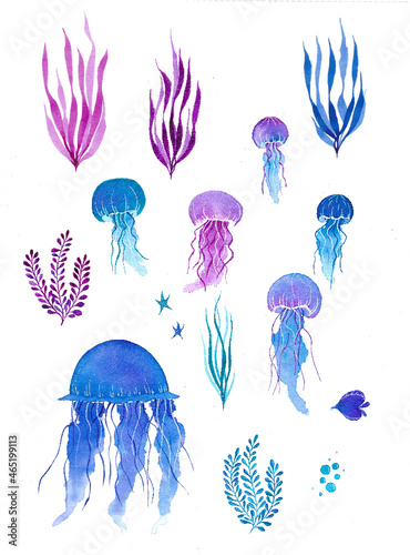 Méduses et plantes sous marine à l'aquarelle, poissons, océan, coraux