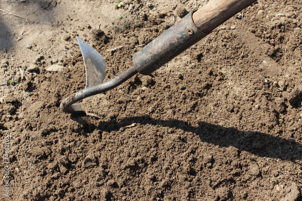 Close-up of a hoe garden tool, loosens the soil. Air access to the soil, to the roots of plants, dig a hole, preparing to plant Close-up of a hoe garden tool, loosens the soil. Air access to the soil, to the roots of plants, dig a hole, preparing to plant