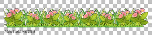 Grass and plants on transparent background for decor