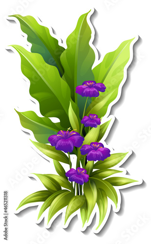 Tropical plant sticker on white background