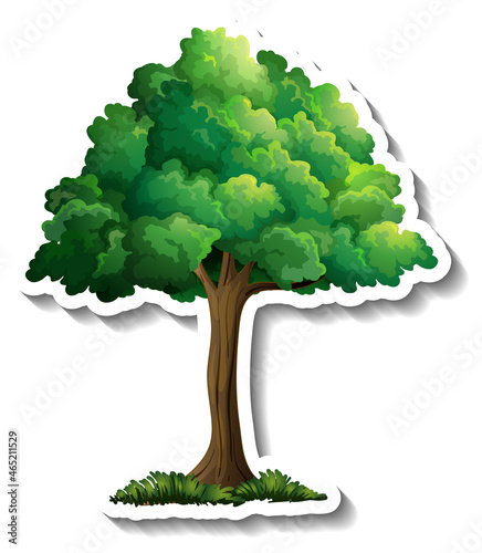 Tree sticker on white background