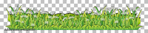 Grass and plants on transparent background for decor