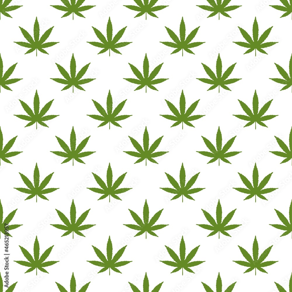 green marijuana leaf on white background, repeat pattern. Medicinal bush, cannabis