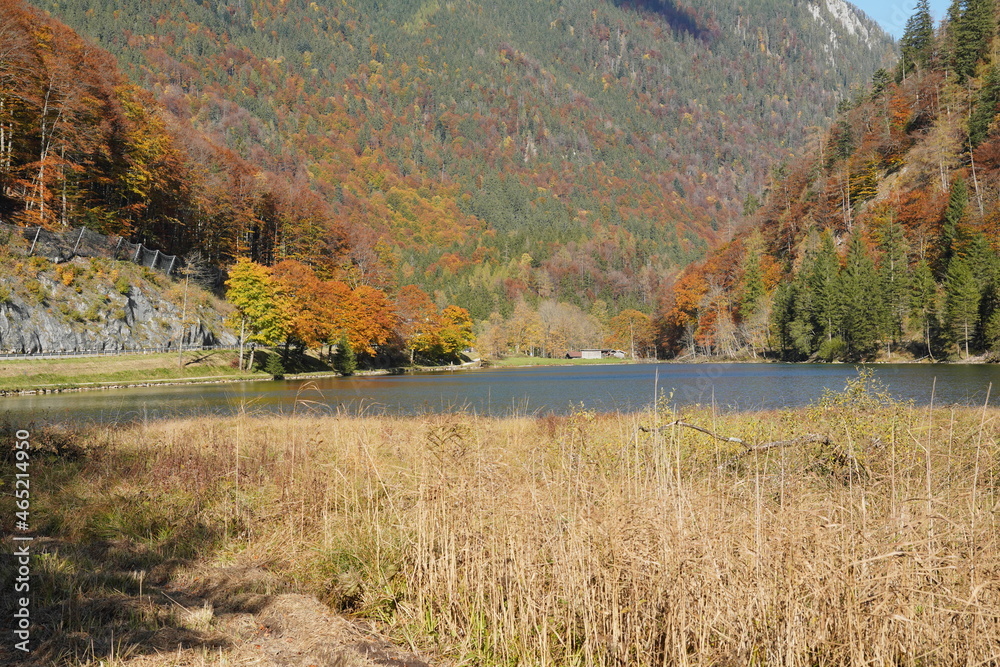 Herbstliche Radtour um Ruhpolding Am Förchensee StockFoto Adobe Stock