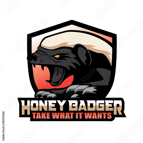 Angry Honey Badger Mascot Vector Design photo