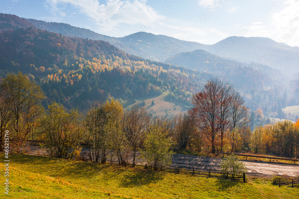 autumnal landscape in mountains. beautiful foggy morning. forests in fall foliage. bright sunny weather