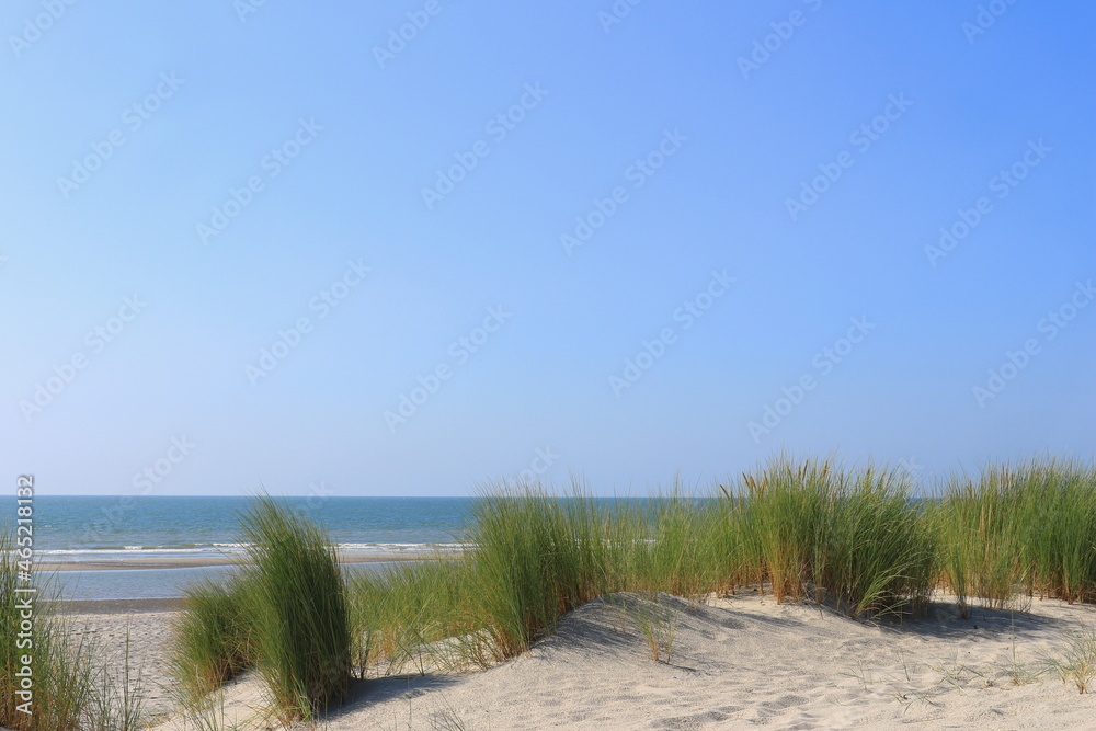 Dünen und Strand bei Westenschouwen Dünen und Strand bei Westenschouwen