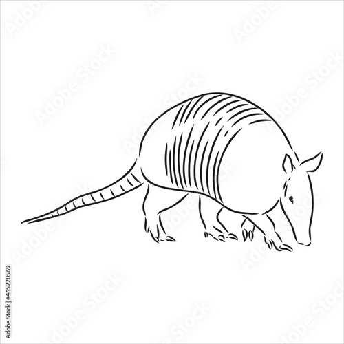 Armadillo cingulata animal sketch engraving vector illustration. T-shirt apparel print design. Scratch board imitation. Black and white hand drawn image.