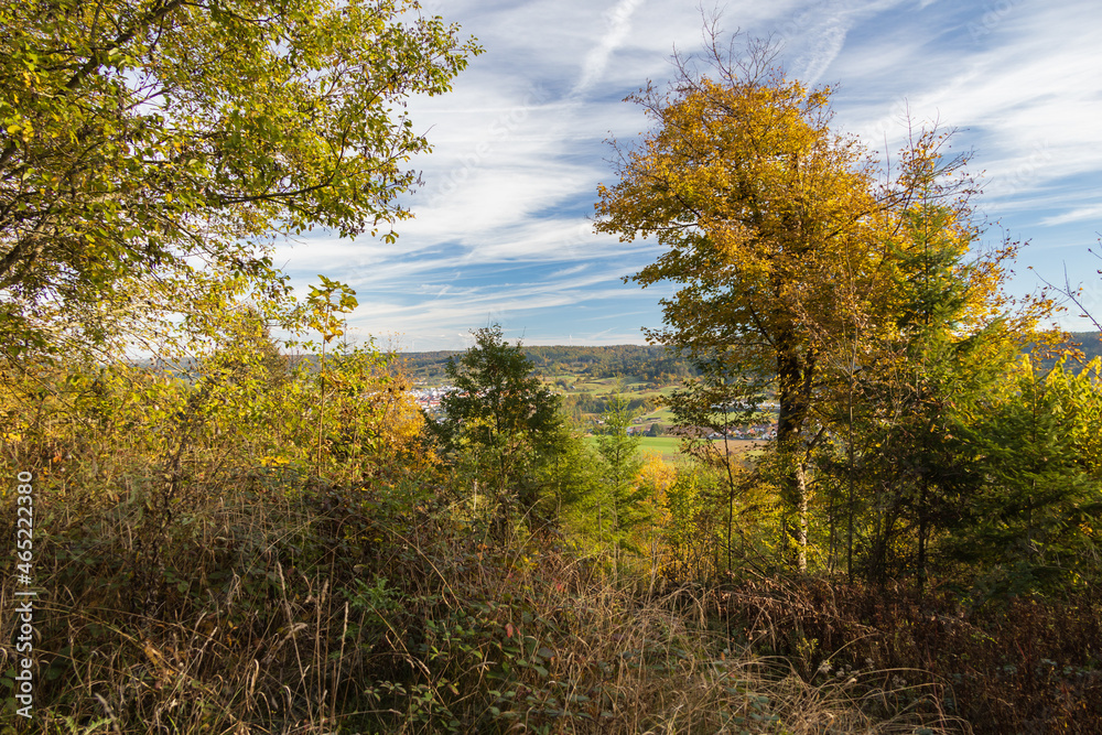 Fototapeta premium autumn landscape with trees and clouds