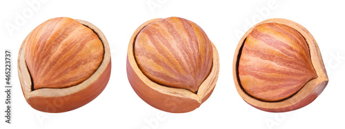 Hazelnuts halves set, isolated on white background
