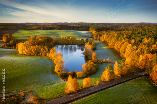 Fototapeta Naklejka Na Ścianę i Meble -  Autumnal landscape of Kashubian forests at sunrise. Poland