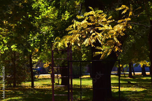 Autumn in Karadjordjev Park Zrenjanin Serbia