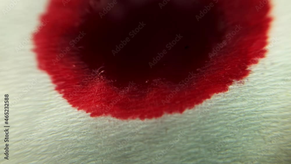 macro video. a drop of red blood falls on a paper napkin. blood slowly dissolves on the paper macro video. a drop of red blood falls on a paper napkin. blood slowly dissolves on the paper