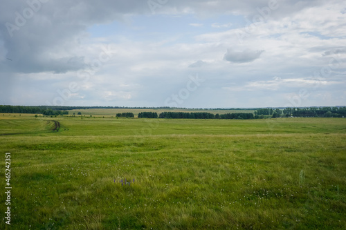 Beautiful green Russian field in the village in summer