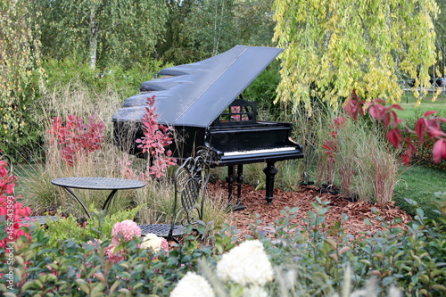 Piano iat autumn park or garden photo