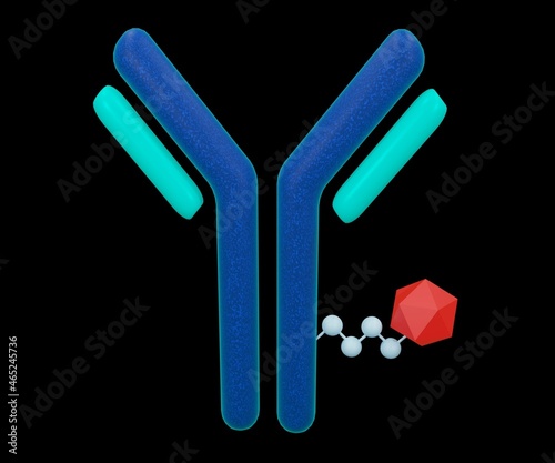 The antibody with drug conjugated cytotoxic payload for drug carrier or delivery in 3d photo