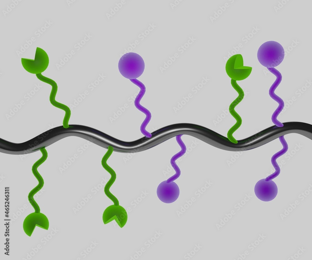 Polymer-drug conjugates are drug molecules held in polymer molecules, which act as the delivery system for the drug 3D Polymer-drug conjugates are drug molecules held in polymer molecules, which act as the delivery system for the drug 3D