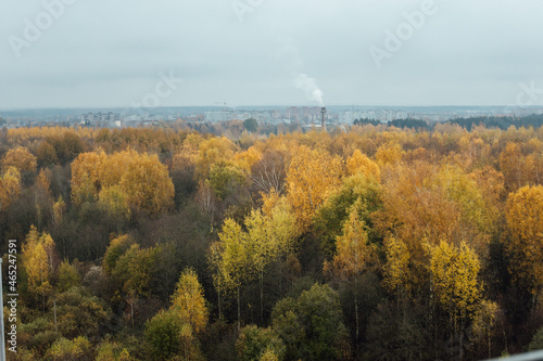 autumn forest from a height. a beautiful landscape of many trees with yellow foliage. a cloudy day in the forest. view from the observation deck with protective railings to the national park
